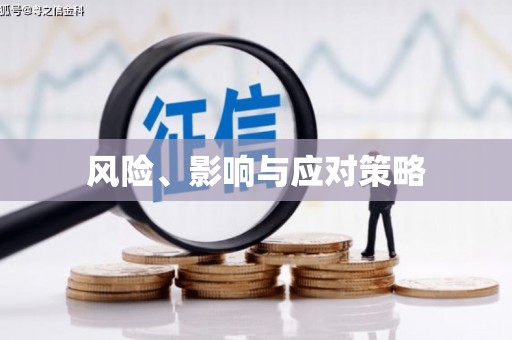 临县风险、影响与应对策略