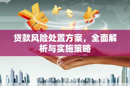 临县贷款风险处置方案，全面解析与实施策略