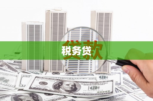 临县税务贷