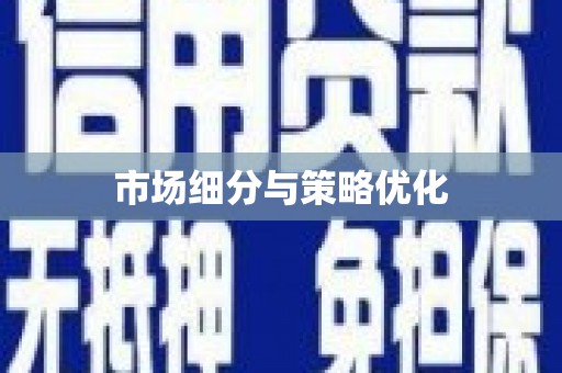 临县市场细分与策略优化