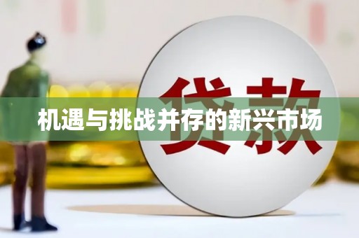 临县机遇与挑战并存的新兴市场
