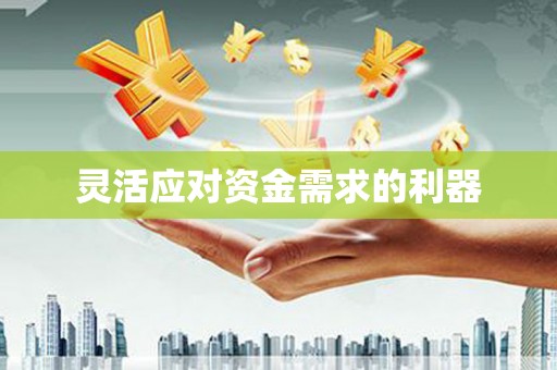临县灵活应对资金需求的利器