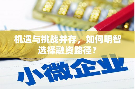 临县机遇与挑战并存，如何明智选择融资路径？