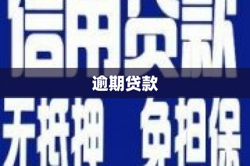 临县逾期贷款