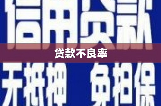 临县贷款不良率