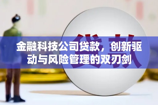临县金融科技公司贷款，创新驱动与风险管理的双刃剑