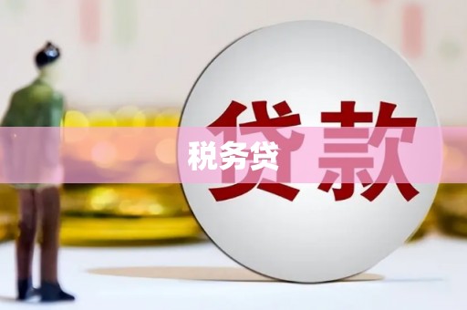 临县税务贷